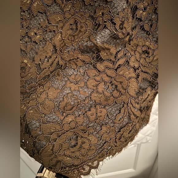 LOFT Lace Overlay Pencil Skirt - Picture 4 of 8